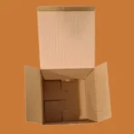 Apni Packaging Packing Carton Box