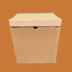 Apni Packaging Packing Carton Box