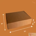 Kraft Corrugated E-Commerce Shipping Box (11 x 9 x 3 in) – Brown Mailer Carton | Apni Packaging