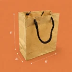 6" x 8" x 3" Kraft Paper Gift Bags with Rope Handles