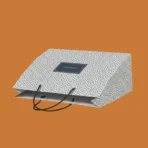 Paper shopping bag with black rope handles